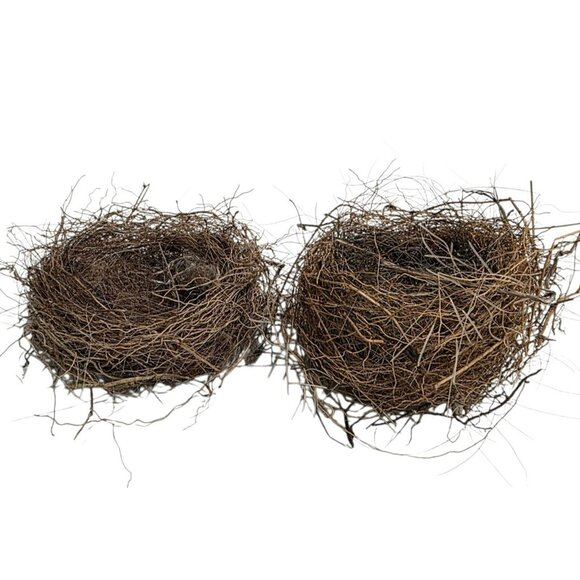 2 Genuine Bird Nest Natural Twigs Fur Lined Small Rustic Abandoned Sparrow Wren - Picture 2 of 10